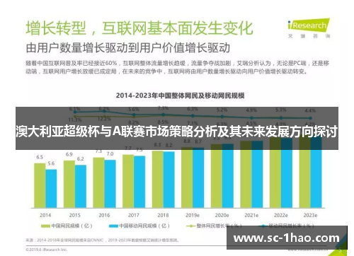 澳大利亚超级杯与A联赛市场策略分析及其未来发展方向探讨
