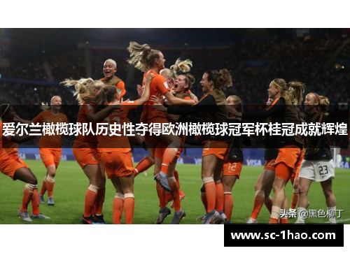 爱尔兰橄榄球队历史性夺得欧洲橄榄球冠军杯桂冠成就辉煌 爱尔兰橄榄球队历史性夺得欧洲橄榄球冠军杯桂冠成就辉煌