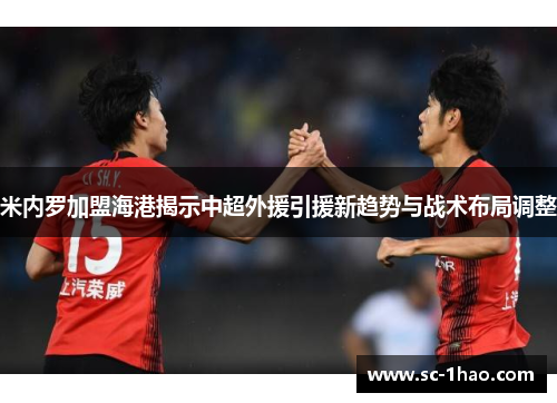 米内罗加盟海港揭示中超外援引援新趋势与战术布局调整