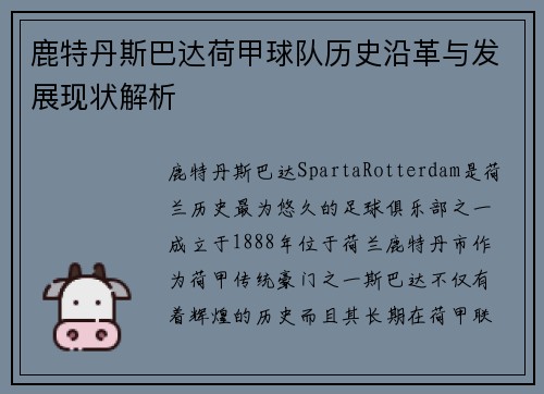 鹿特丹斯巴达荷甲球队历史沿革与发展现状解析